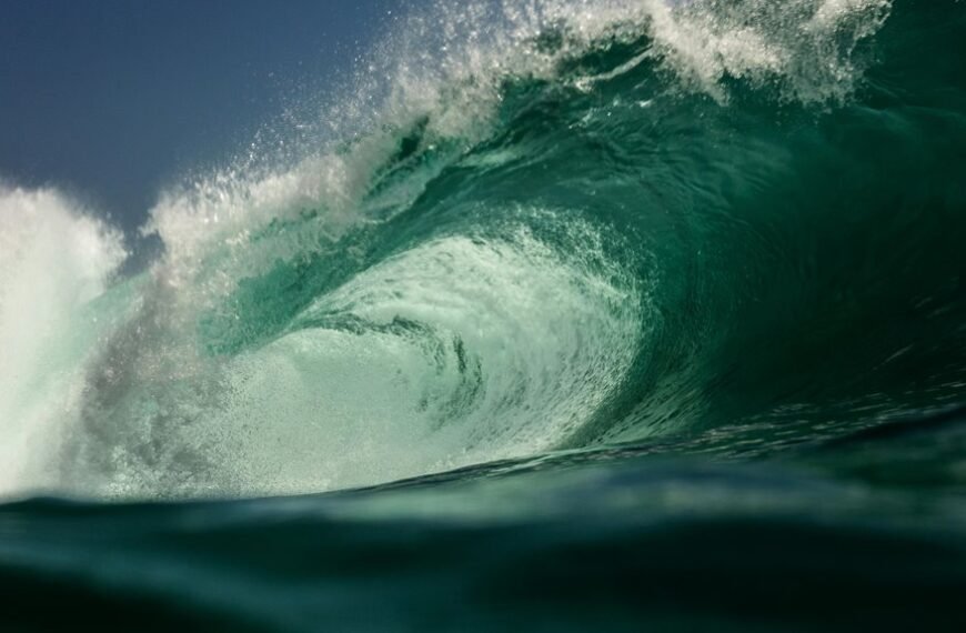 apex crest neural wave