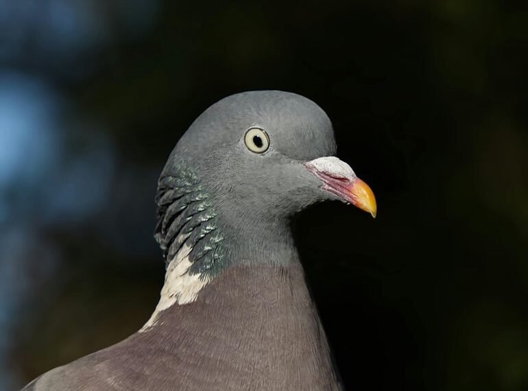 important 0120993476 details guide